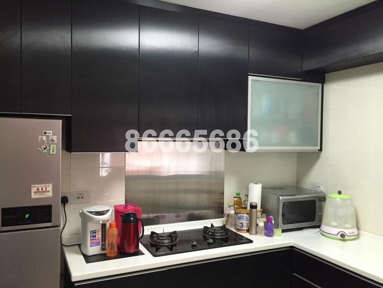 Blk 273D Compassvale Link (Sengkang), HDB 4 Rooms #91341842